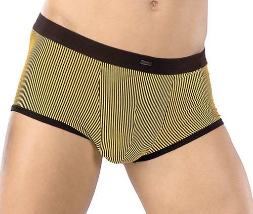 Pant schwarz und - gelb,