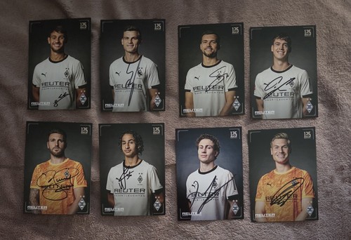 Borussia mönchengladbach - borussia, 8