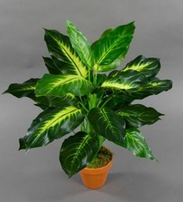 Philo Real Touch 52cm grün-hellgrün im Topf ZF Kunstpflanzen künstliche Pflanzen