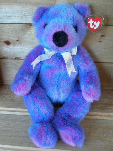 Purplebeary teddy ca - ty, teddy,