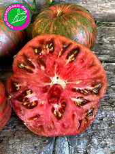 CHEROKEE LIME STRIPES 🍅 10+