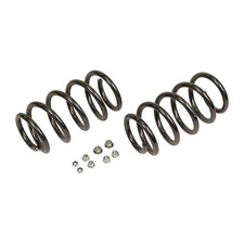 Austauschschraubenfedern