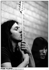 Pink floyd poster david - poster,