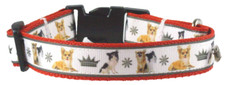 Hundehalsband Chihuahua, XS