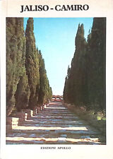 Filerimo Jaliso-Camiro