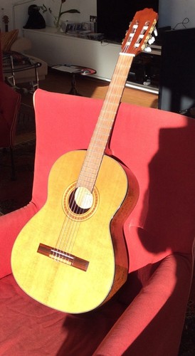 Gitarre kirkland 215003 inkl - kirkland,