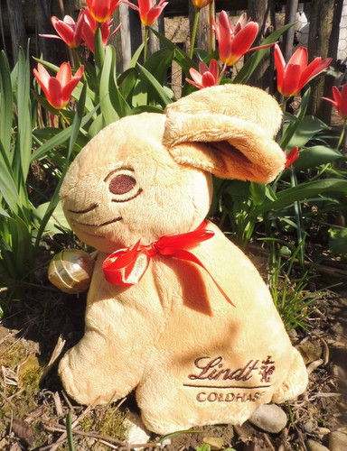 Lindt goldhase hase - xl🌷lindt, goldhase🌷hase