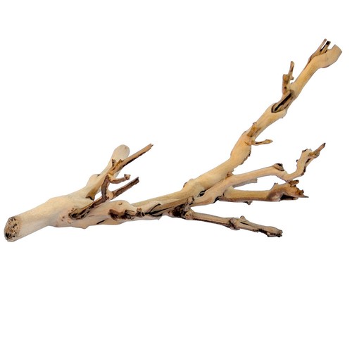 Exo terra forest branch - terra,