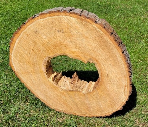 Baumscheibe von der - 🌳,