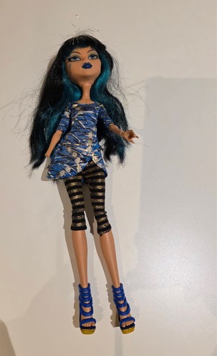 Monster high y4313 picture - high,