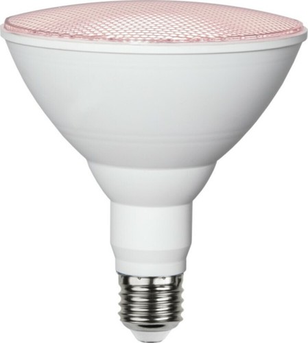 Star led grow pflanzen lampe - pflanzen,