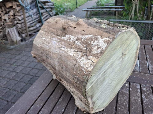 Deko baumstamm akazie holz - deko,