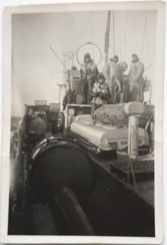 Foto wehrmacht - foto, wk