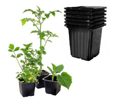 Anzuchttöpfe Anzuchtschale