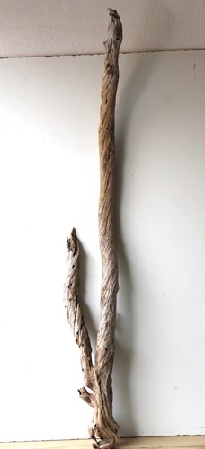 Treibholz schwemmholz - treibholz,