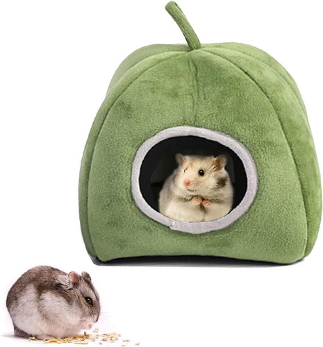 Meerschweinchen bett - meerschweinchen,
