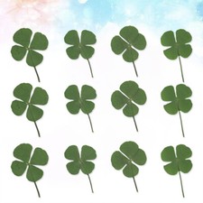  12 Pcs Getrocknete Pflanzen