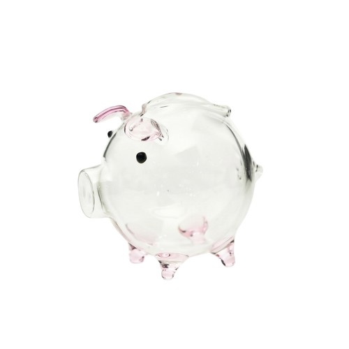 Sparschwein aus glas kompakt - sparschwein,