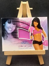 2008 BenchWarmer - Signature