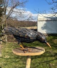 Marineblau Orange Rabe Garten