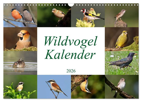 Leo bucher wildvogelkalender - bucher, |