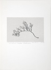 Serigraphie von Siegward