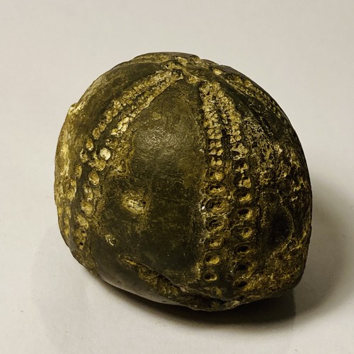 Kleines fossil feuerstein - kleines,