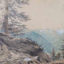 Waldlandschaft Zeichnung