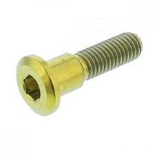 Bremsscheibenschraube vorne