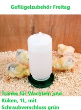 Tränke für wachteln und - tränke,