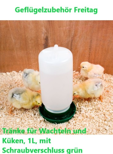 Tränke für wachteln und - für,