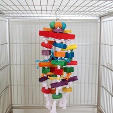 Papagei Kauspielzeug