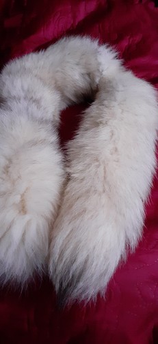 Echt blaufuchs kragen boa - echt,