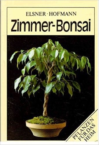 Zimmer bonsai pflanzen für - -,