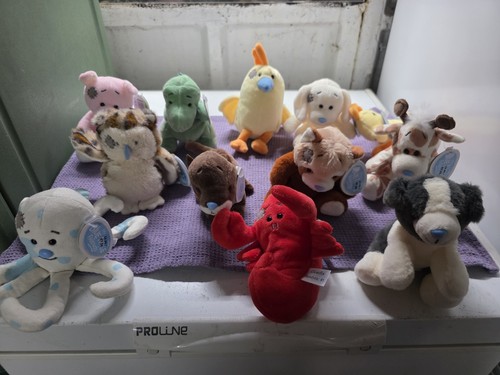 Blue nose friends - my,