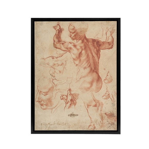 Michelangelo studien für - studien,