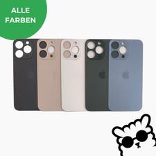 iPhone 13 Pro Backcover Akkudeckel Rückseite Glas Großes Kameraloch Big Hole