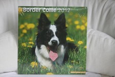 Hunde, Border Collie