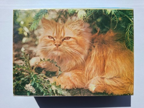Puzzle rassekatze ddr - puzzle,