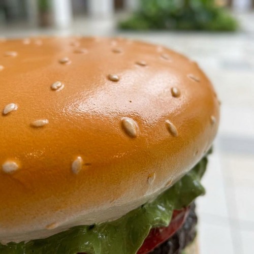 Burger-Dekohocker