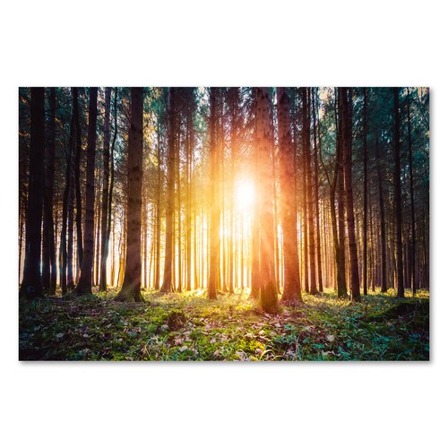 Postereck 3873 poster leinwand - 3873,