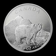 1 OZ Silbermünze 2011 Fine