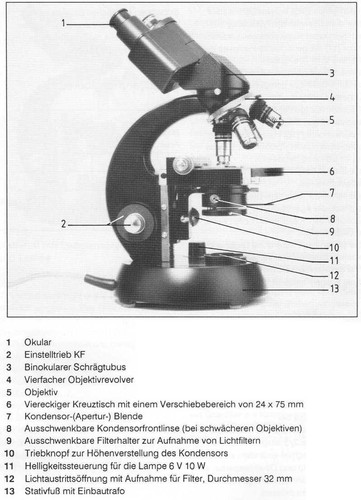 Binokular zeiss mikroskop - binokular,