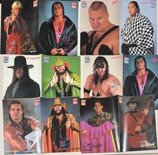 22 x Wrestling A 4 Poster / Pop Rocky 1992-1994
