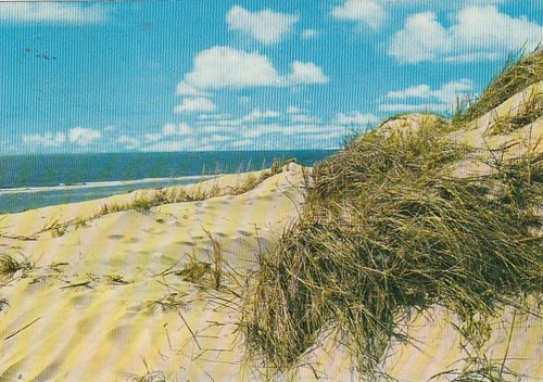 Nordseebad baltrum dünen und - dünen,