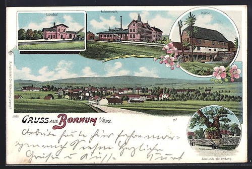 Lithographie bornum harz - a.,