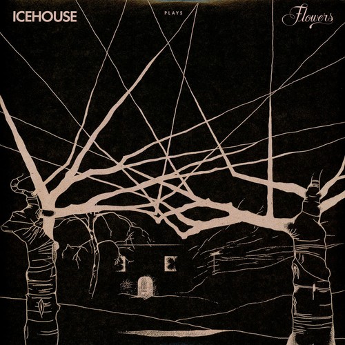 Icehouse plays flowers - icehouse, flowers: