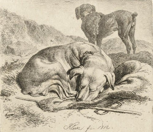 Johann adam klein hunde - -, "hunde"