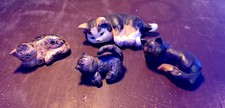 ​4 süße Mini-Deko-Katzen