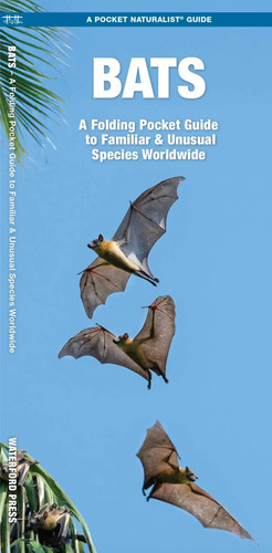 Bats folding pocket - a, guide